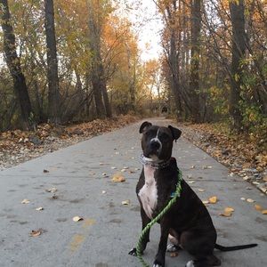 Meet your Posher, Zeke